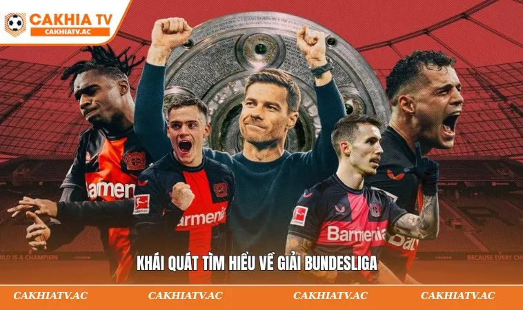 Bundesliga 2026 - Kết Quả Sau Nghỉ Đông Và BXH Cập Nhật 1 Khái quát tìm hiểu về giải Bundesliga