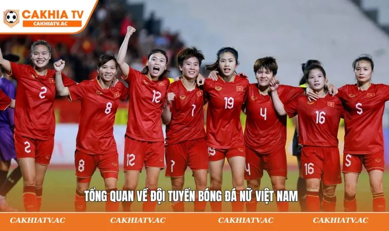 Tổng quan thông tin về đội tuyển bóng đá nữ Việt Nam